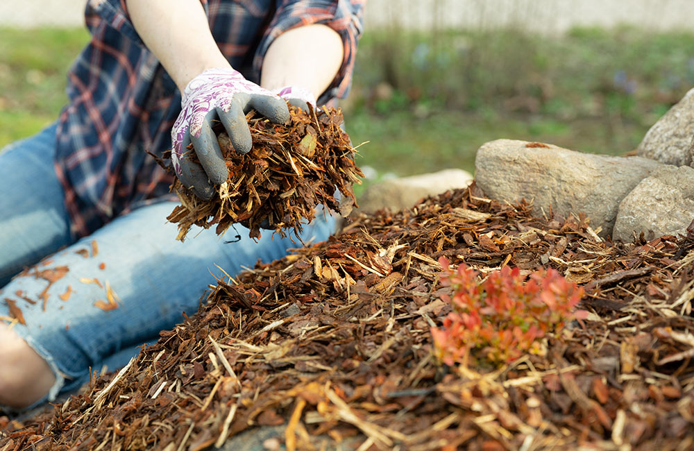 Bark mulch gives trees and plants nutrients for healthy and sustainable growth.