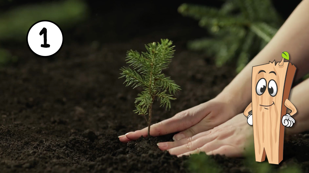 Clip 01 Einleitung Wald