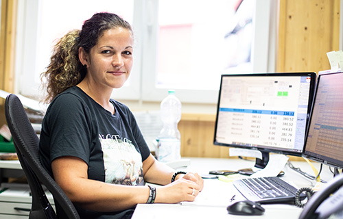 BACHELOR-, MASTERARBEIT für eine Abschlussarbeit im Bereich Produktionsplanung 