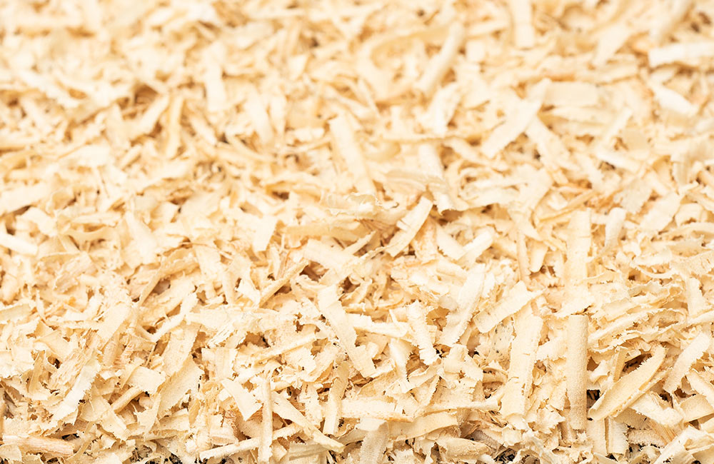 Wood shavings