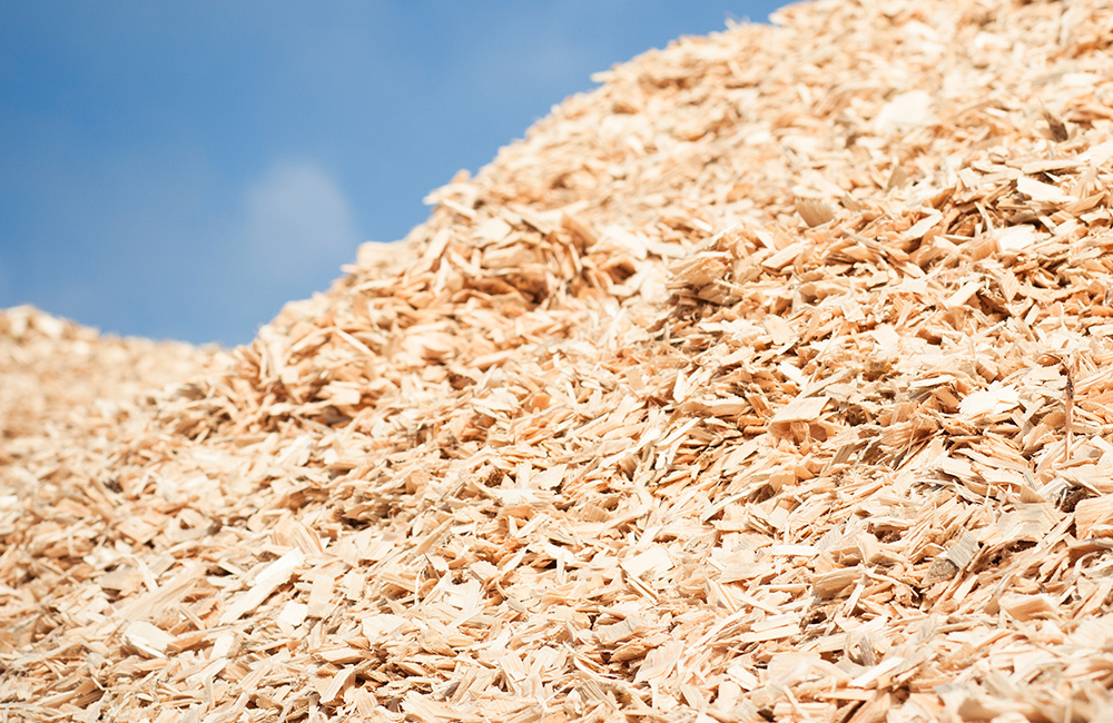 Wood chips